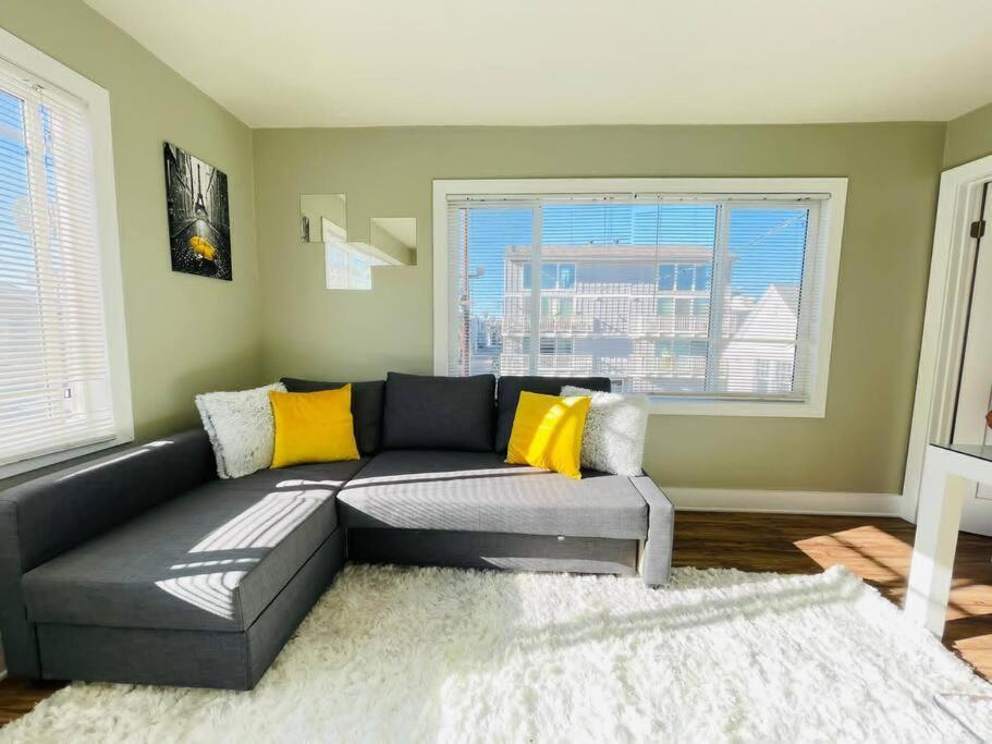 1bd Modern Venice 12b Apartment
