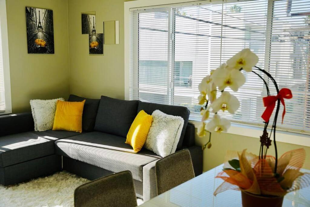 Apartment 1bd Modern Venice 12b Los Angeles