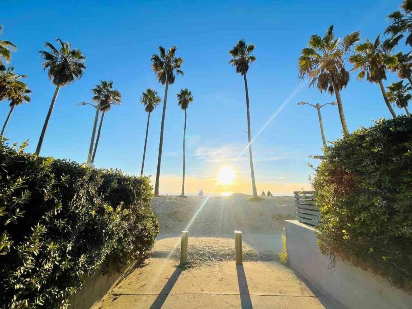Apartment 1bd Modern Venice 12b Los Angeles